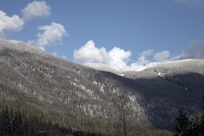 02937_Feb06_5D.jpg