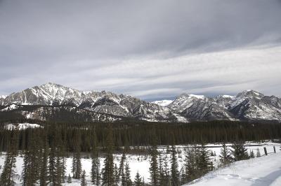 03119_Feb06_5D.jpg