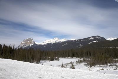 03136_Feb06_5D.jpg