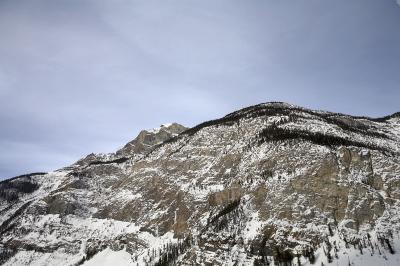 03140_Feb06_5D.jpg