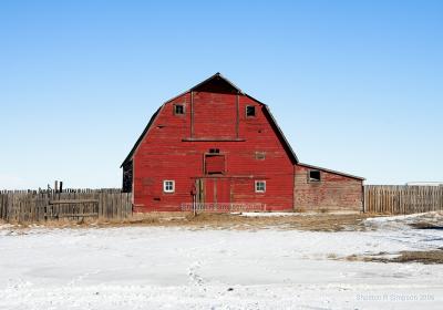 03460_Mar06_5D.jpg
