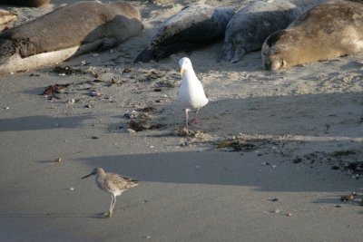manip_IMG_3456.JPG