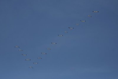 manip_IMG_0897-2.jpg