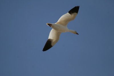 manip_IMG_0982-2.jpg
