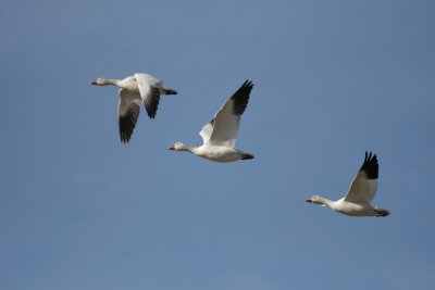 manip_IMG_1005-2.jpg