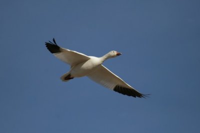 manip_IMG_1147-2.jpg
