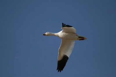 manip_IMG_1191-2.jpg