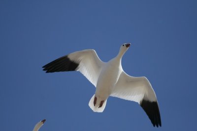 manip_IMG_2984-2.jpg