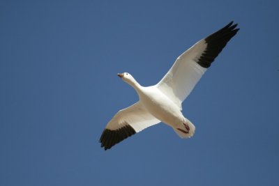 manip_IMG_3068-2.jpg