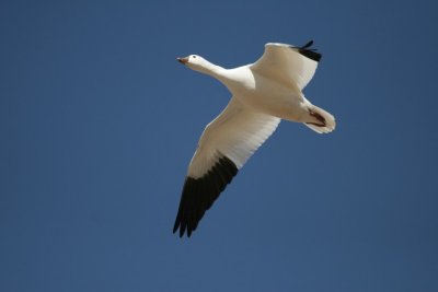 manip_IMG_3071-2.jpg