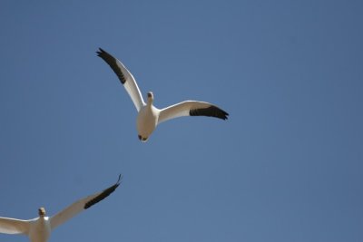 manip_IMG_3134.JPG
