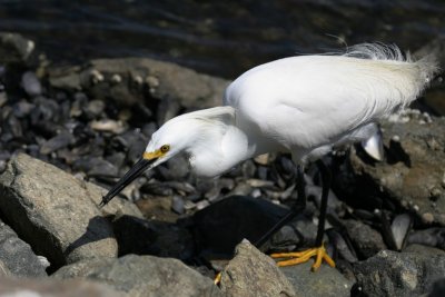 manip_IMG_7880-2.JPG