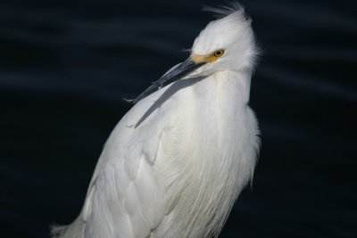 manip_IMG_8050-2.jpg