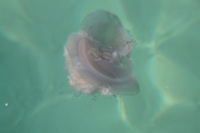 manip_IMG_0830.JPG