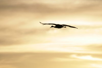 manip_IMG_6840.JPG