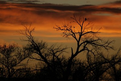manip_IMG_8519.JPG