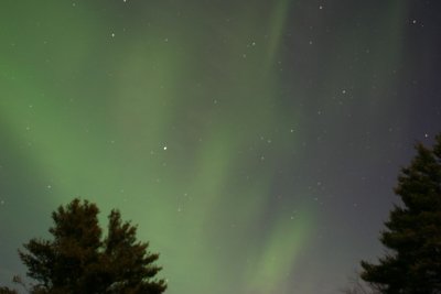 manip_IMG_0341.JPG