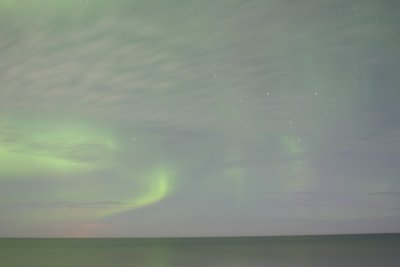 manip_IMG_0345.JPG