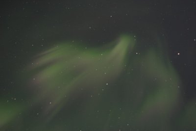 manip_IMG_0365.JPG