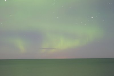 manip_IMG_0370.JPG