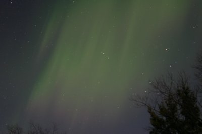 manip_IMG_0371.JPG