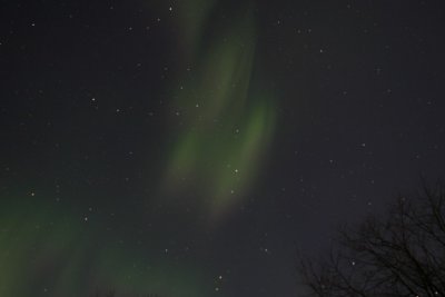 manip_IMG_0372.JPG