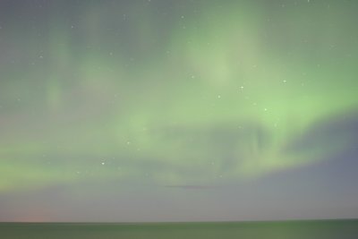 manip_IMG_0383.JPG