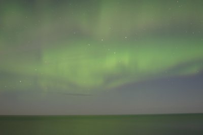 manip_IMG_0385.JPG