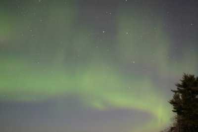 manip_IMG_0386.JPG