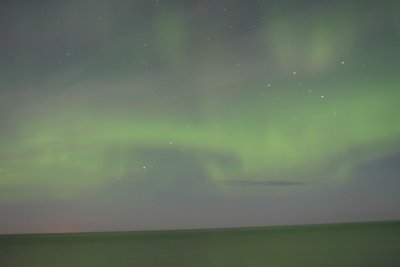 manip_IMG_0388.JPG