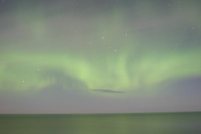 manip_IMG_0391.JPG
