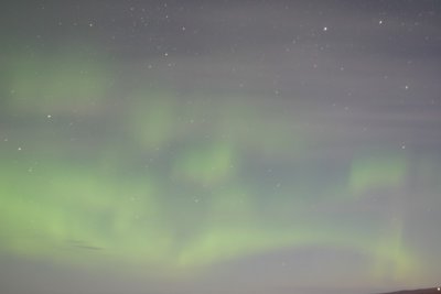 manip_IMG_0397.JPG
