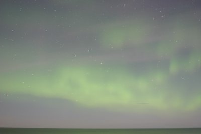 manip_IMG_0398.JPG