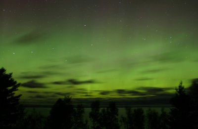 manip_IMG_3885-2.JPG