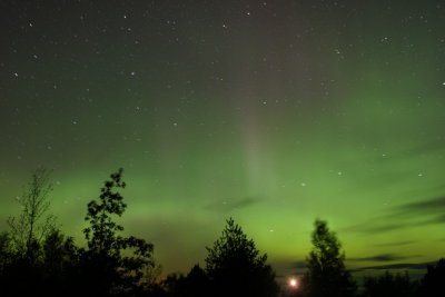 manip_IMG_3894-2.jpg