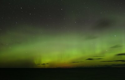 manip_IMG_3902-2.JPG