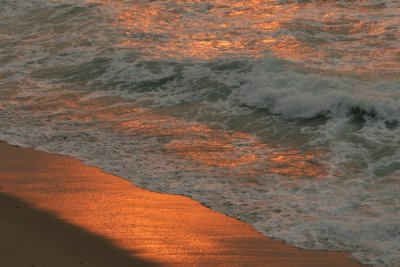 manip_IMG_5706.JPG
