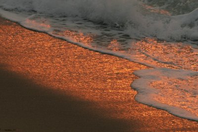 manip_IMG_5707.JPG