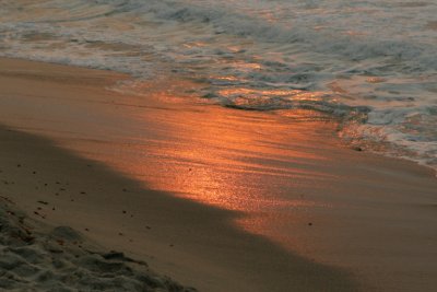 manip_IMG_5730.JPG
