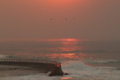 manip_IMG_5818.JPG