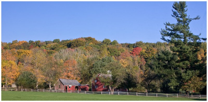 Hale Farm #1