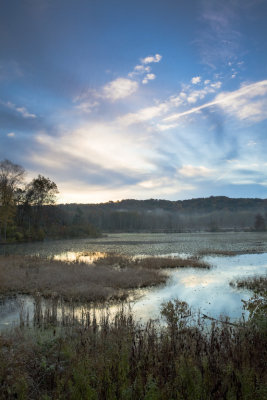 Beaver Pond 2
