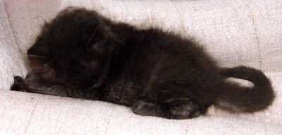 g3/18/25118/3/119750790.FZvilcuT.jpg