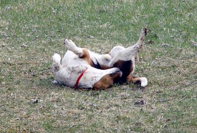 I've Been Practicing My Yoga Exercises