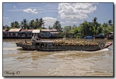 Mekong Delta