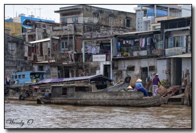 Mekong Delta