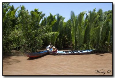 Mekong Delta