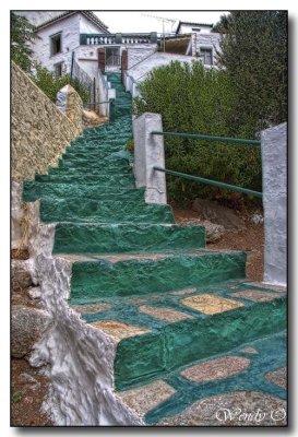 Green Steps