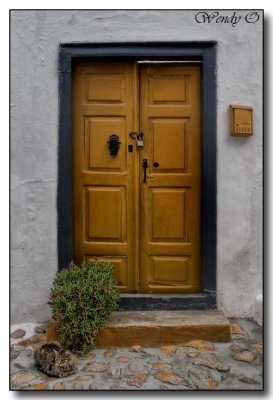 Door and Cat