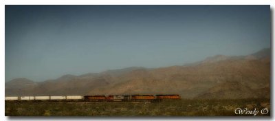 Train in the Desert